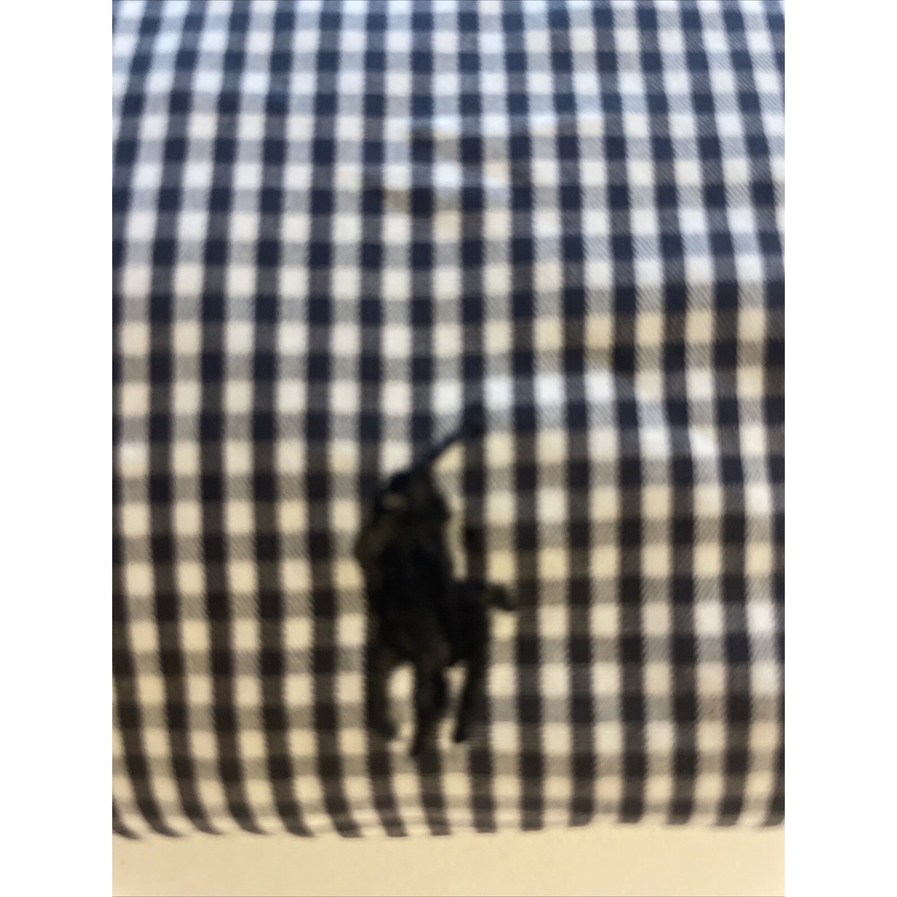 Ralph Lauren Polo Blake Button Down Two Ply Cotton Size L - Picture 3 of 6